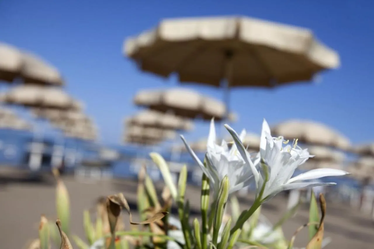 Apartment Happy Sea Home - Bilocale Angolo Cottura 4 Pax Albinia Italy